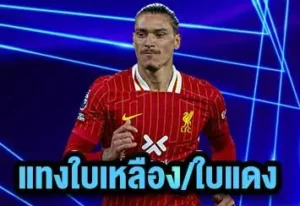 แทงใบเหลือง-ใบแดง
